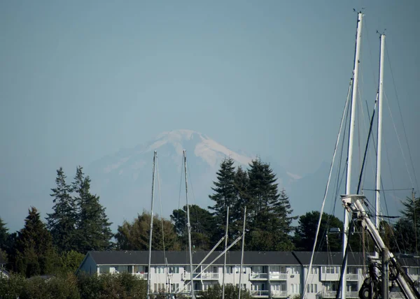 Kijkend Naar Mount Baker Vanaf Jorgensen Pier Blaine Whatcom Washington — Stockfoto