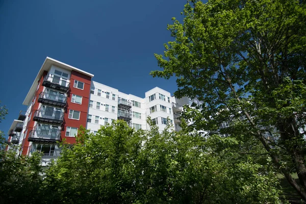 Grote Esdoorn Bomen Inlijsten Nieuwe Appartementen Redmond Centrum Buurt Van — Stockfoto
