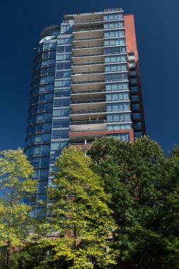 Coal Harbour ve Cordova yakınlarındaki gökdelenin altındaki ağaçlar, British Columbia şehir merkezi, Vancouver,