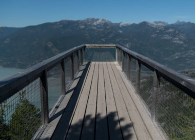 Squamish bakış açısında baldıran otu arka planda Sedqwick Dağı, British Columbia