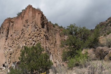 Bandelier Park, Los Alamos, New Mexico 'daki Frijoles Kanyonu' nun yanındaki patikada.