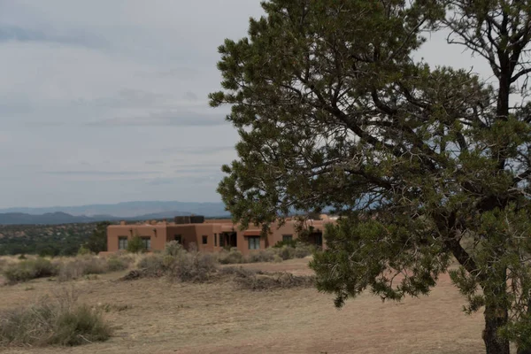 Şehitlerin haçı yakınlarındaki kerpiç evinin önündeki yalnız ağaç, Santa Fe, New Mexico