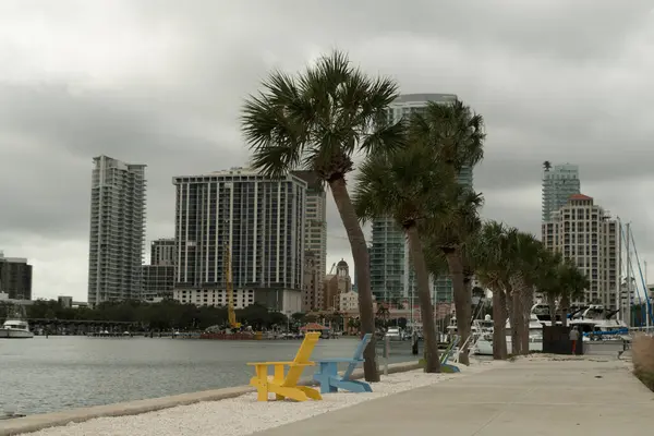 Renkli plaj sandalyeleri ve arka planda Central Yat havzası marinası ve St Pete şehir manzaralı palmiyeler, Florida