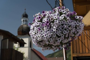 Fresh flower basket hanging on Commercial street in Leavenworth, Washington,  with a church building in the background clipart