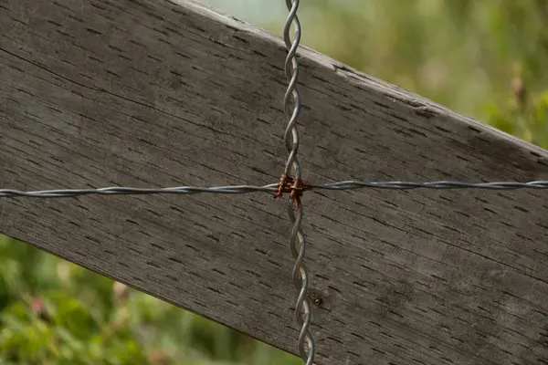 Dungeness Refuge Park, Sequim, Washington yakınlarındaki ahşap bir çitte paslı tellerden yapılmış haç.