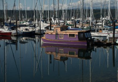 Washington, Port Townsend 'deki Boat Haven' ın ortasına yanaşmış mor kayıkhane.