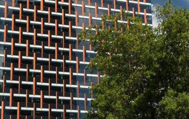 Bellevue iş bölgesindeki yüksek katlı bir binanın cam ve çelik duvarlarına turuncu eklentiler tarafından oluşturulan eğlenceli desenler