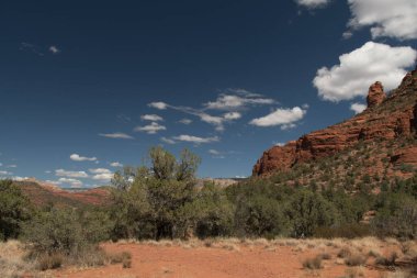 Sedonas 'ın ünlü kırmızı kumtaşı oluşumlarının kayıp görüntüsü, karmaşık erozyon şekillerini ve sert dokuları vurguluyor. Küçük çöl çalıları ve ağaçlar canlı mavi gökyüzünün altındaki kayalık yamaçlara tutunarak kurak Ian 'daki yaşamın dayanıklılığını gösteriyor.