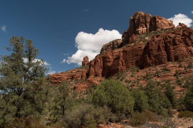 Katedral Kayası, Sedona, Arizona 'da sıcak bir akşam ışığı parlıyor. Gezginler için dünyaca ünlü bir dönüm noktası..