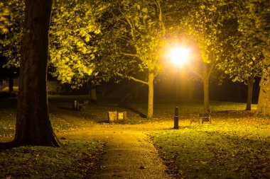 Ağaçlar ve yapraklarla dolu güzel bir sonbahar parkı