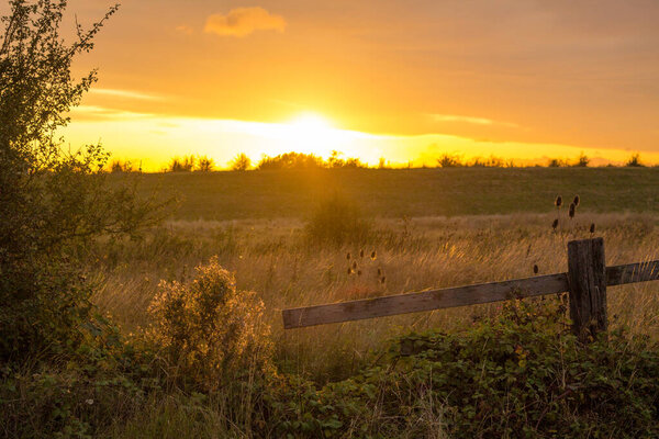золотой закат в деревне