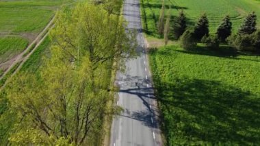 Estonya 'nın güzel kırsal kesiminde manzaralı kırsal yol manzarası