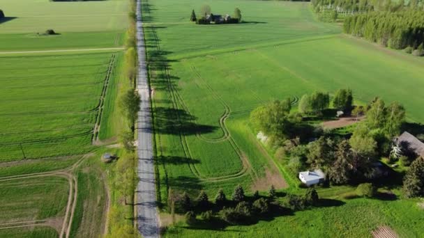 エストニアの美しい国側の道路の空中ビュー — ストック動画