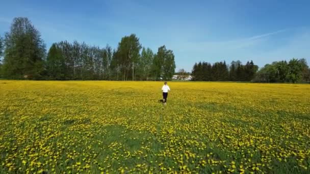 女子在美丽的田野里慢跑的倒影 满地都是黄色的蒲公英 — 图库视频影像