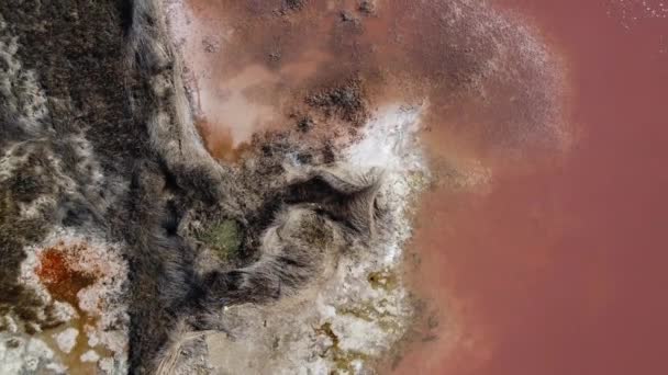 Aerial Top View Coastline Pink Salt Lake Las Salinas Torrevieja — Video Stock