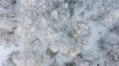 beautiful aerial top view of snowy winter forest wih frozen trees