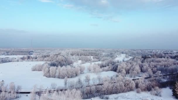 爱沙尼亚塔林冬季雪景美丽的空中景观 — 图库视频影像
