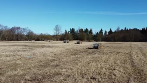 Aerial Drone Footage Spring Field Hay Bales — Video