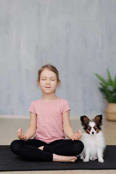可爱的小女孩和她的小狗乳头状的狗在瑜伽垫上做瑜伽练习的肖像 — 图库照片