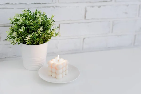Burning White Bauble Candle Green Plant Table Copy Space — Stock Photo, Image