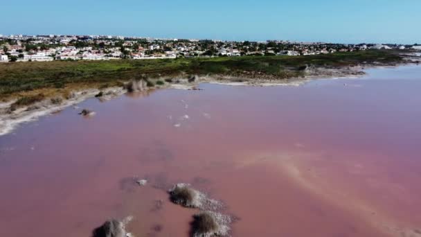 Beautiful Aerial View Pink Salt Lake Las Salinas Torrevieja Spain — 비디오