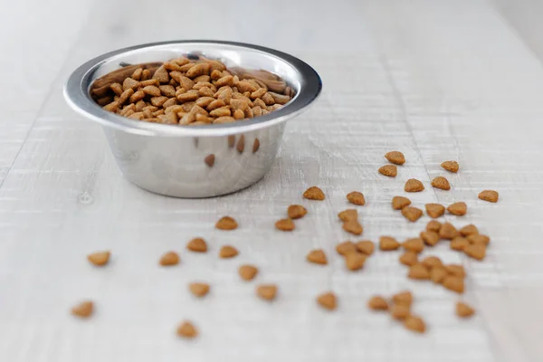 Alimentos Para Animais Estimação Secos Tigela Alimentação Prata Chão Madeira — Fotografia de Stock