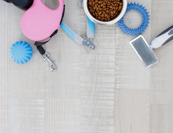 粉红可伸缩的狗皮带 指甲钳 食物和带有复制空间的蓝色玩具在地板上 — 图库照片