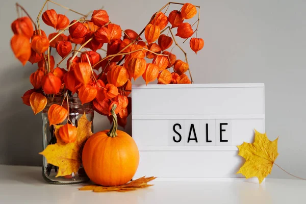 Verkaufskonzept Leuchtkasten Mit Blättern Orangefarbenem Kürbis Und Physalis — Stockfoto