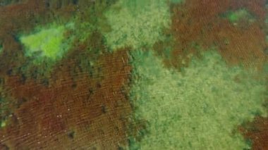 Göl suyunun havadan görünüşü, hareket eden deniz. Su dalgaları yüzeyindeki ışığın yansımaları