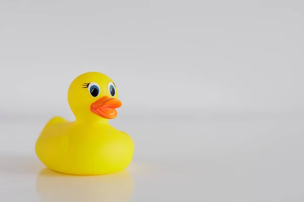 Yellow funny bath duck on white table with copyspace