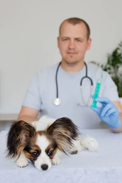 Vet Σύριγγα Στο Χέρι Και Άρρωστο Σκυλί Στο Ιατρείο — Φωτογραφία Αρχείου