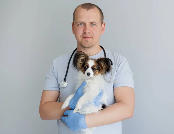 Weterynarz Mundurze Roboczym Stetoskopem Trzymający Małego Psa Ramionach — Zdjęcie stockowe