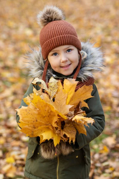 Nettes Glückliches Kleines Mädchen Herbstpark Mit Ahornblättern — Stockfoto
