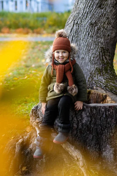 Happy Little Girl Siedzi Drzewie Jesiennym Parku — Zdjęcie stockowe