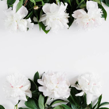 Güzel şakayık çiçeklerinden, yapraklardan ve yapraklardan oluşan çerçeve beyaz arkaplandaki yazı için boşluk
