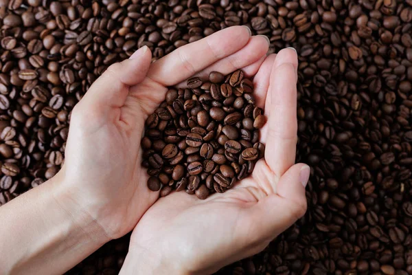 Close Woman Hands Holding Freshly Roasted Aromatic Coffee Beans — Stock Photo, Image