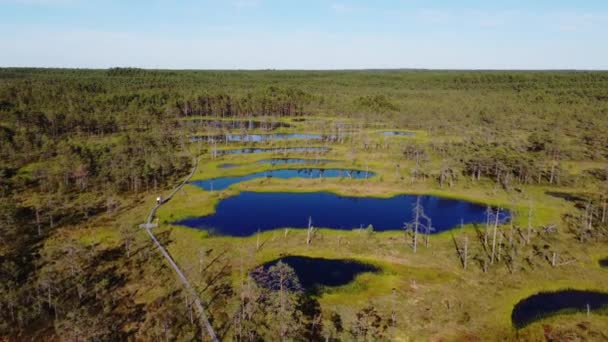 Lahemaa国家公园Viru Bog的4K视景视频 — 图库视频影像