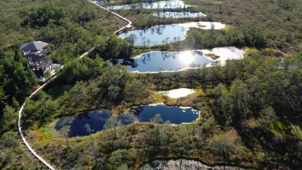 爱沙尼亚Viru Raba沼泽湖的空中景观 — 图库视频影像