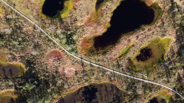 爱沙尼亚Viru Bog公路的俯视图 — 图库视频影像