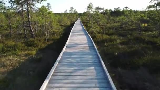 Walking Track Viru Raba Bog Lahemaa National Park — Stock Video