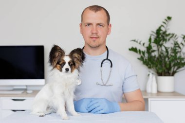 Tıp ofisinde bilgisayarı olan veteriner ve küçük bir köpek.