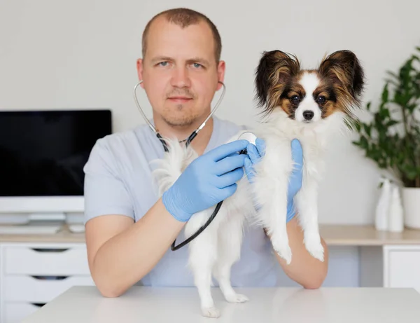 医学オフィスのテーブルの上に犬をチェックする獣医 — ストック写真