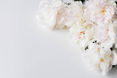 Fotokopi alanı olan beyaz arkaplanda güzel beyaz şakayıklar