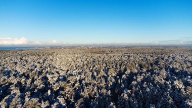 Kış ormanı ve mavi gökyüzünün havadan görünüşü