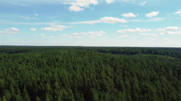 Vista Dall Alto Della Foresta Verde Cielo Blu Con Nuvole — Video Stock