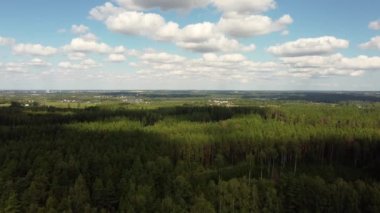 Estonya 'daki yaz ormanlarının hava manzarası