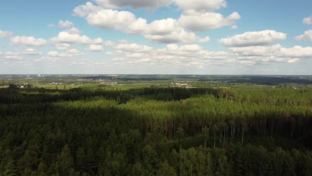 Vista Aerea Della Foresta Estiva Estonia — Video Stock