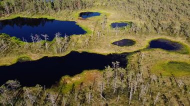 Viru Raba bataklık gölünün havadan görünüşü