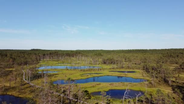 Lahemaa国家公园Viru Bog的空中景观 — 图库视频影像