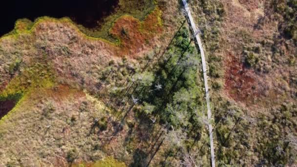 爱沙尼亚国家公园沼泽和森林的俯瞰 — 图库视频影像